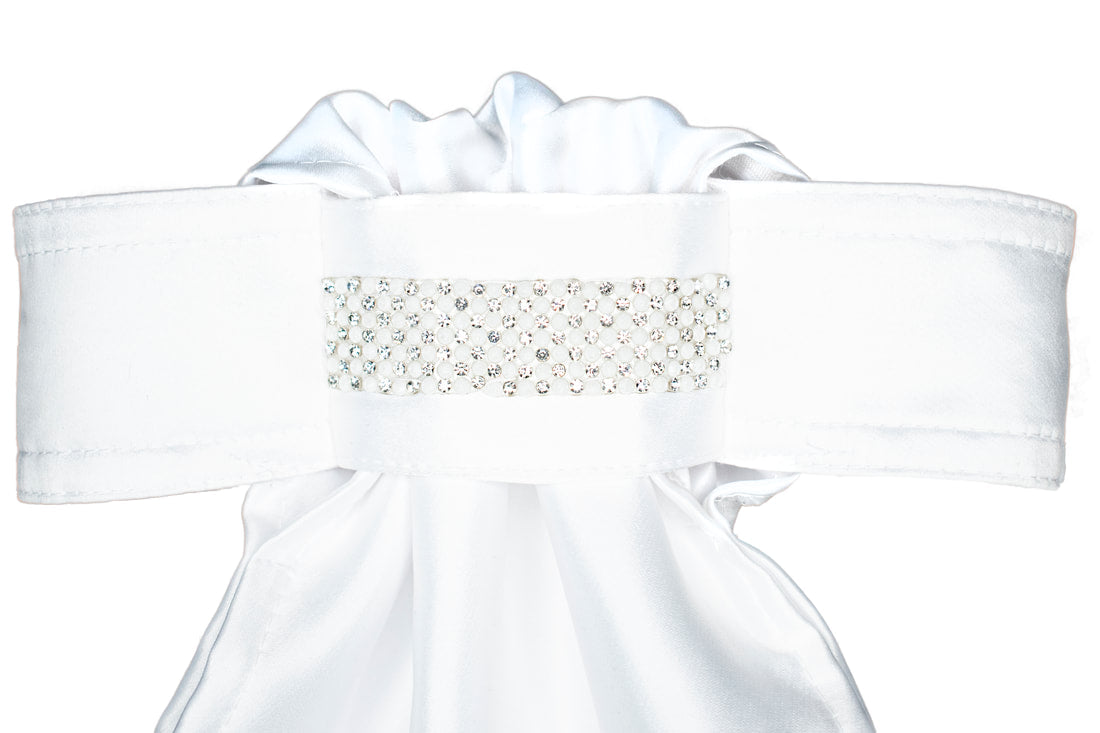 STOCK TIE WITH WIDE CRYSTAL RIBBON