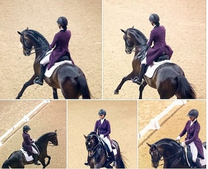 Equiline Women Shadbelly Cadence Burgundy