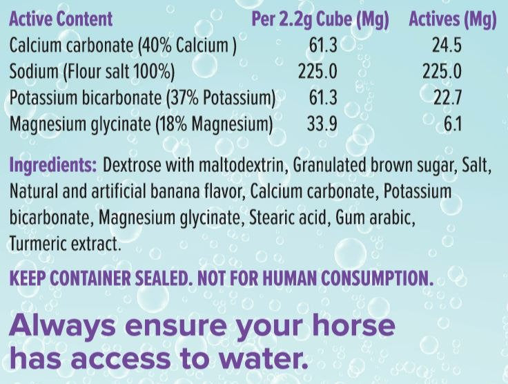 ELECTROLYTE CUBES BANANA 8OZ
