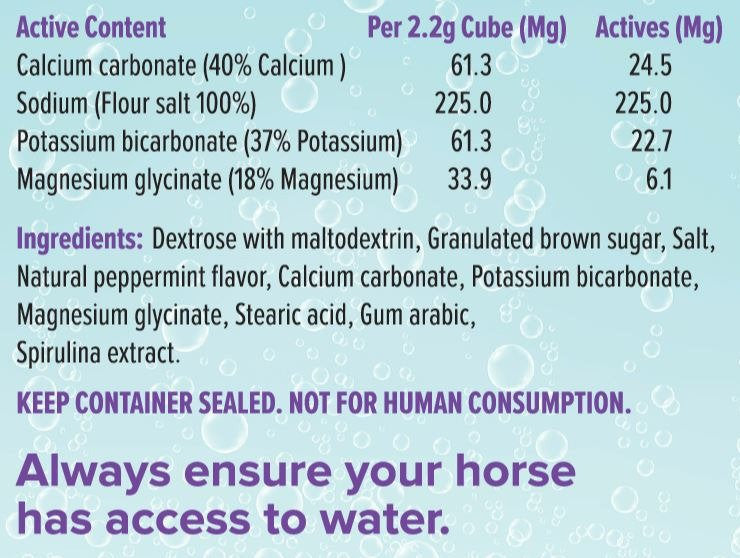 ELECTROLYTE CUBES MINT 8OZ