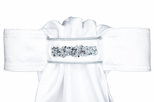 STOCK TIE RIBBON WITH CRYSTAL #36