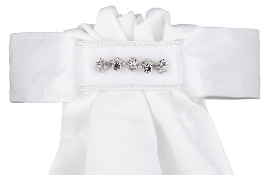 STOCK TIE RIBBON WITH CRYSTAL #33